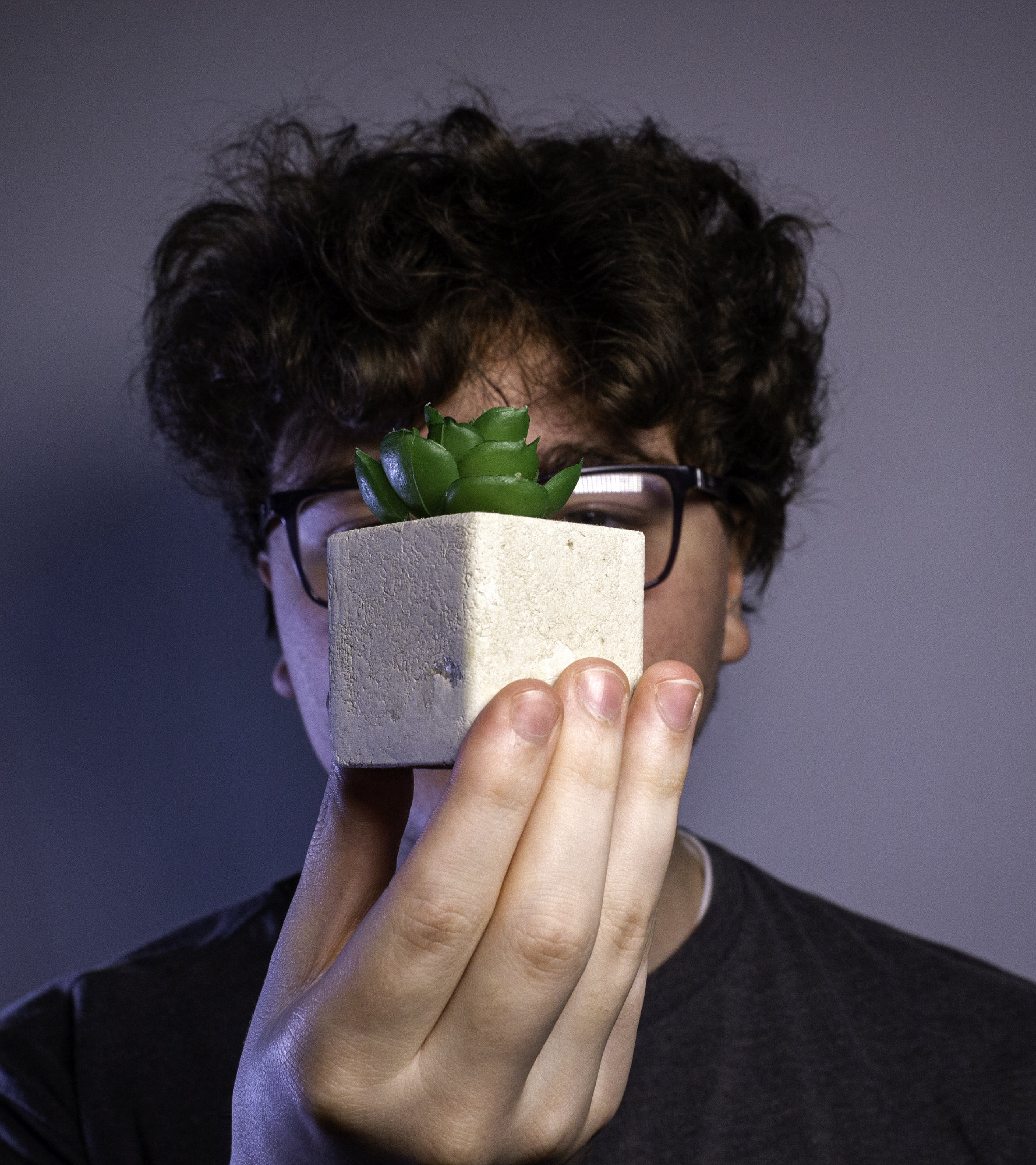 Portrait of a man holding a fake succulent plant.