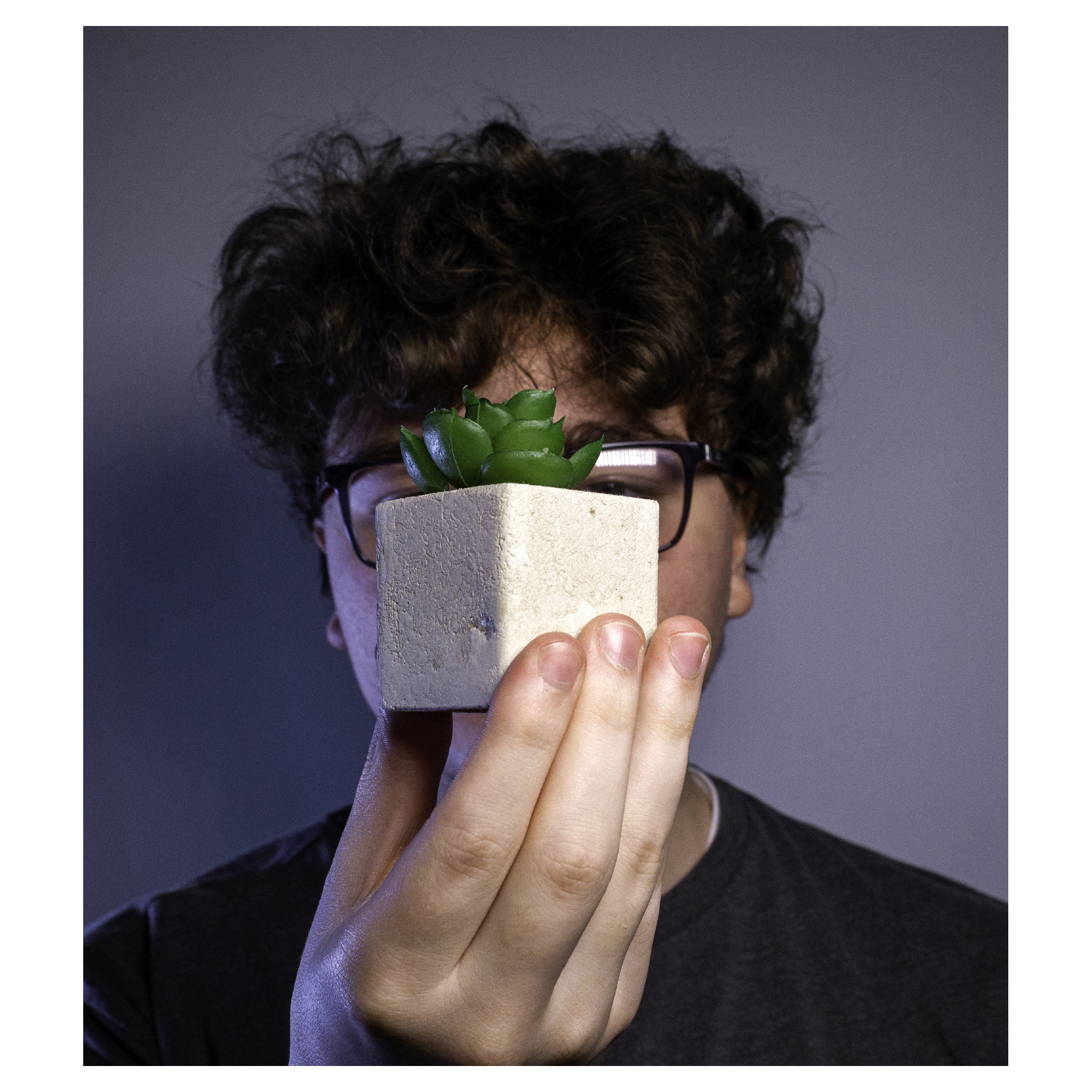 Portrait of a man holding a fake succulent plant.